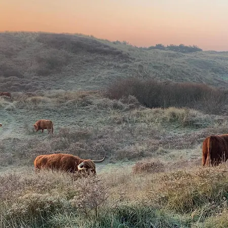 Zomerhuis Enjoy Egmond aan Zee