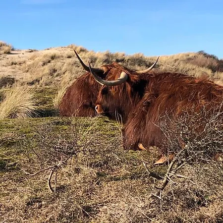 Zomerhuis Enjoy Casa vacanze