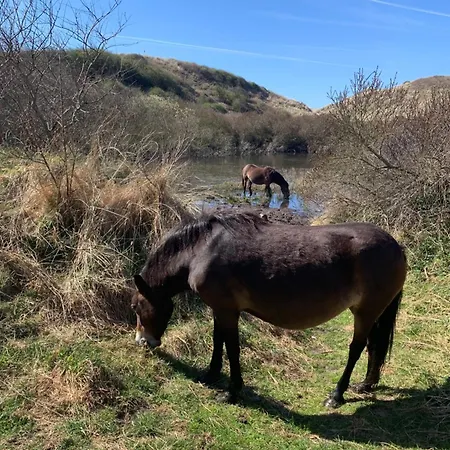 Zomerhuis Enjoy Casa vacanze *