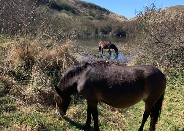 Zomerhuis Enjoy Nyaraló *