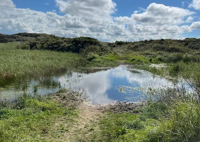 Prázdninový dům Zomerhuis Enjoy
